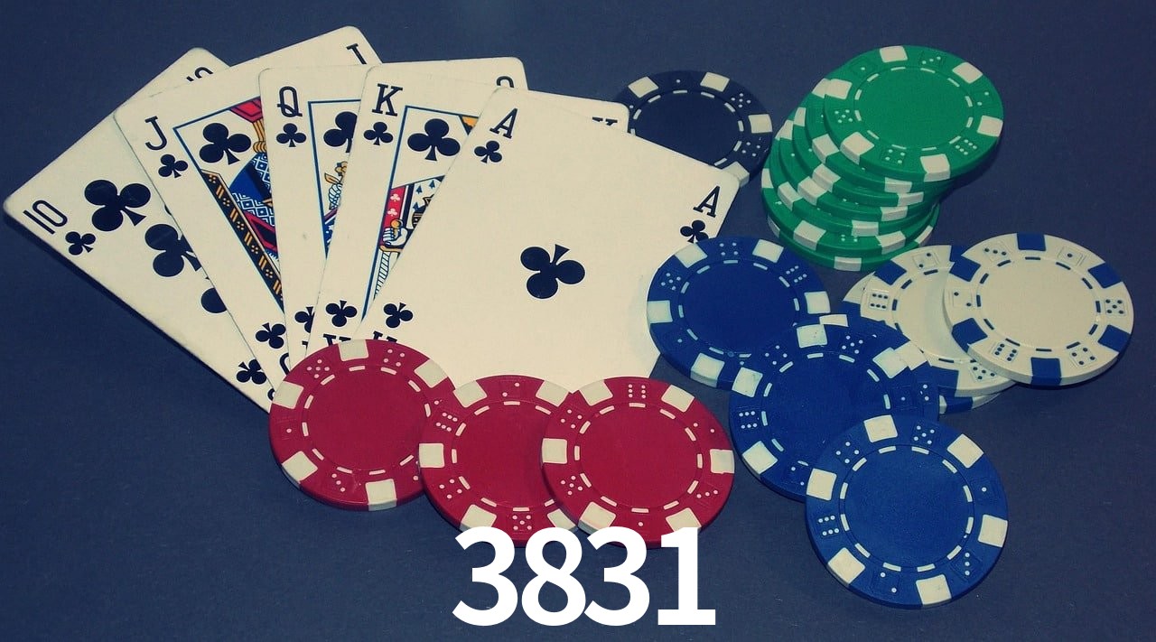Experiência VIP 3831